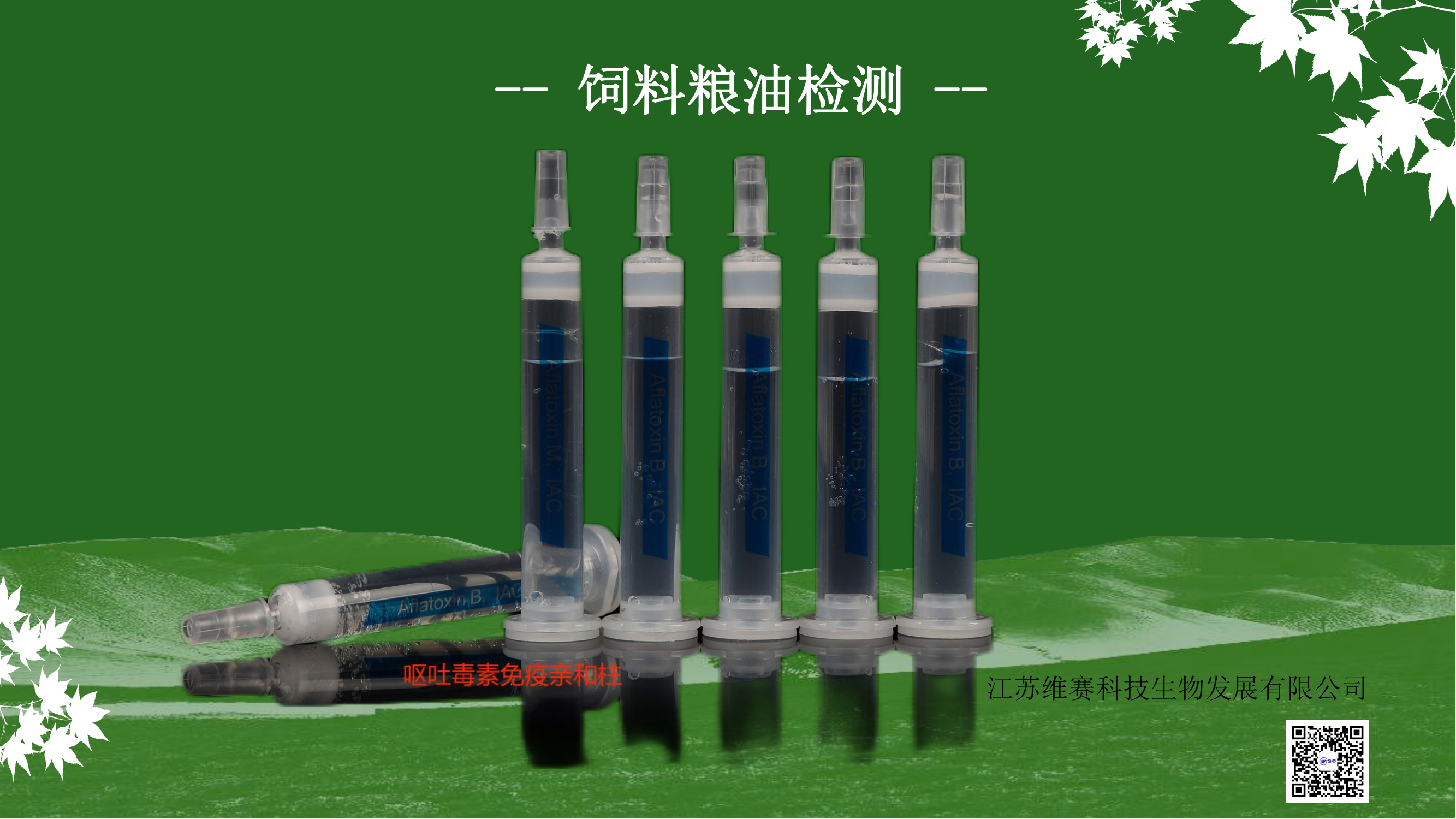 �I�¶��������H����