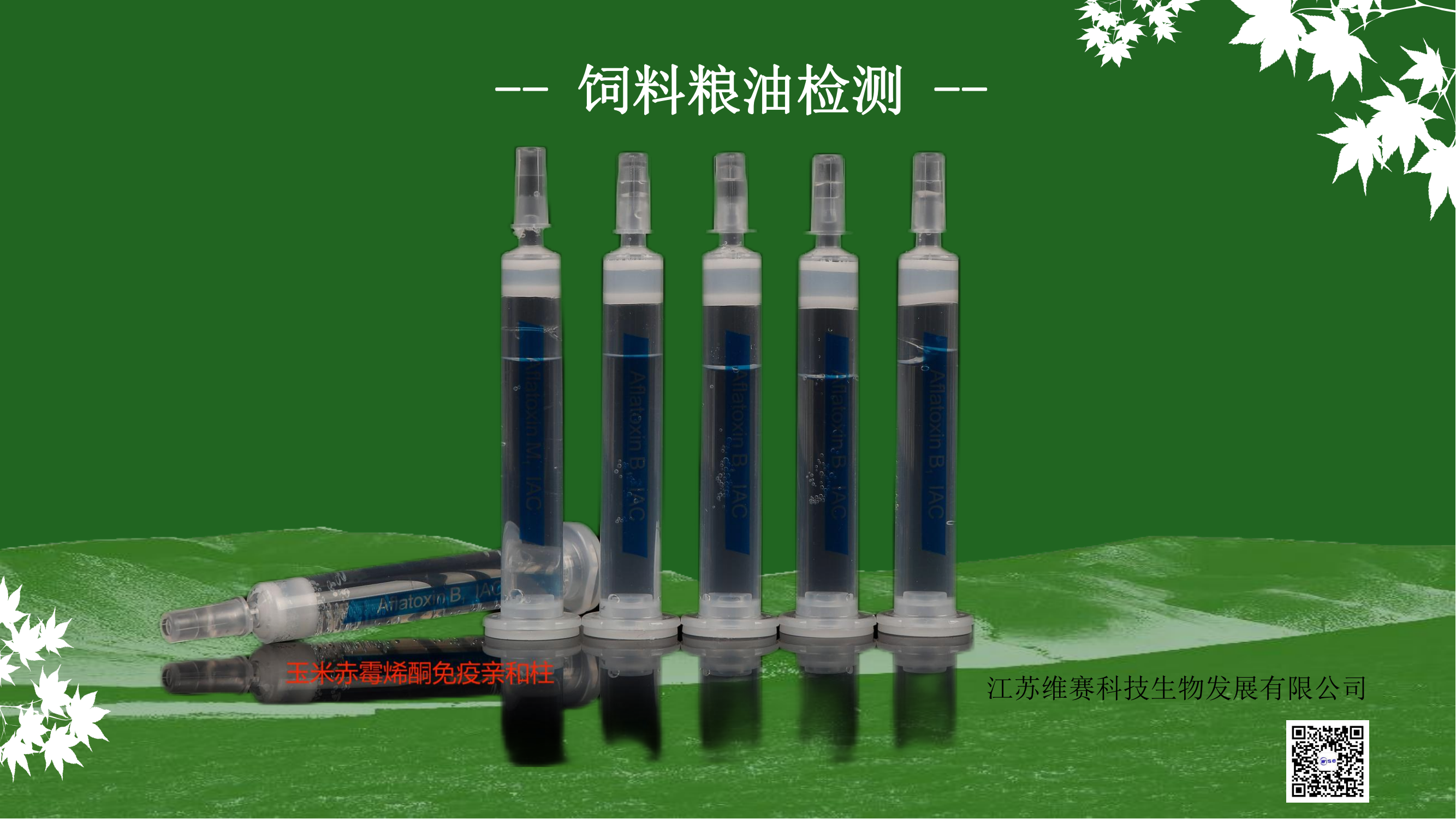 ���׳��qϩͪ�����H����